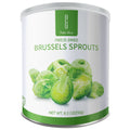 Freeze Dried Brussels - Healthy Snacking